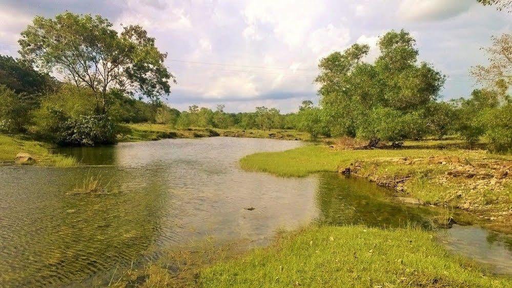 Kula Kula Luxury Camping Resort Udawalawe Zewnętrze zdjęcie